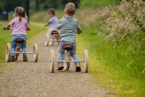 Pierwszy rowerek trójkołowy dziecięcy biegowy 2w1 niebieski balans Trybike CoandCo