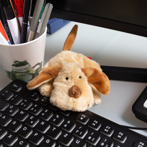 Pierwsza przytulanka pluszowy mini Piesek mała maskotka dla dzieci sigikid Sigikid
