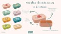 Lunchbox pojemnik silikonowy Jednorożec SASSI