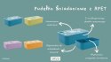 Plastikowy lunchbox pojemnik z rPET Lew SASSI